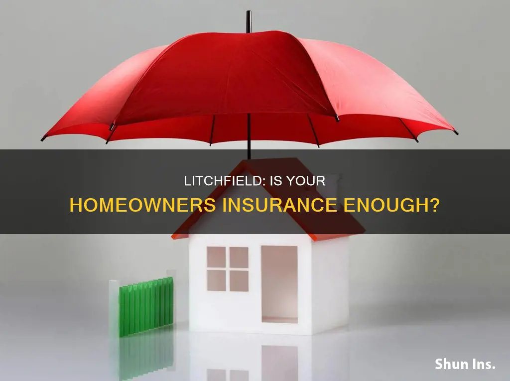 does homeowners insurance cover litchfield
