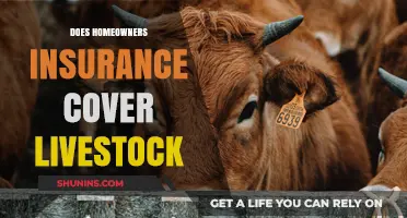 Livestock Insurance: What's Covered Under Homeowners Policy?