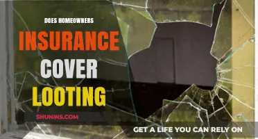 Home Insurance: Does It Cover Looting Damages?