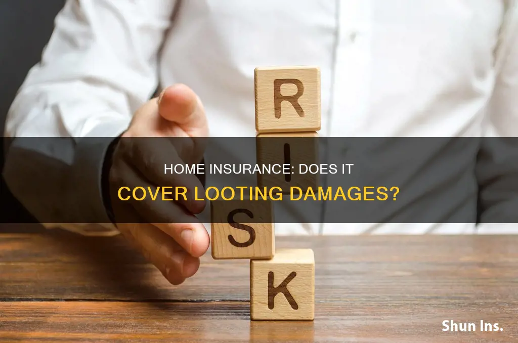 does homeowners insurance cover looting