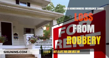 Home Insurance: Theft and Loss Coverage Explained