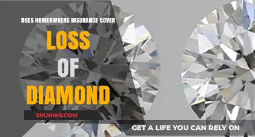 Home Insurance: Lost Diamonds, What's Covered?