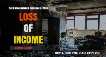 Home Insurance: Income Loss Coverage Explained