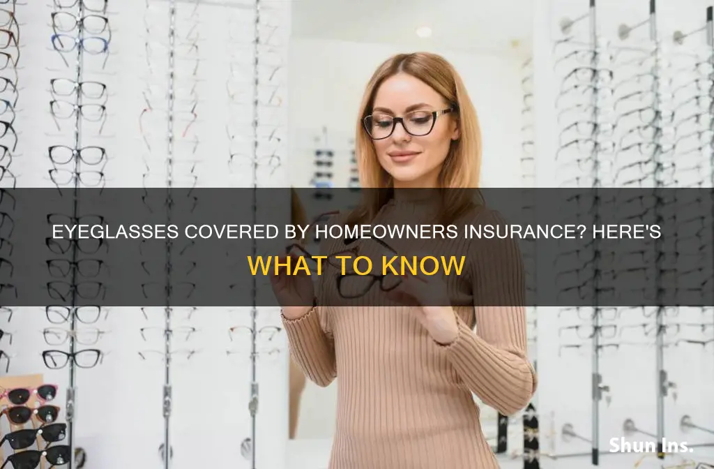 does homeowners insurance cover lost eyeglasses