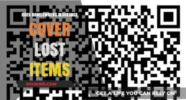 Home Insurance: Lost Items Covered?