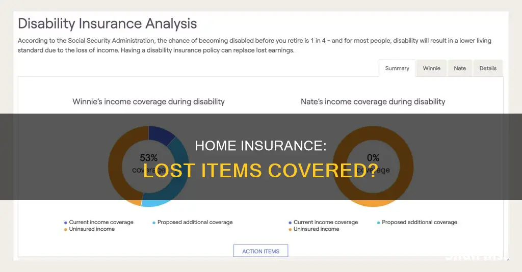 does homeowners insurance cover lost items