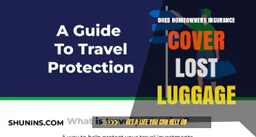 Home Insurance: Lost Luggage Covered?