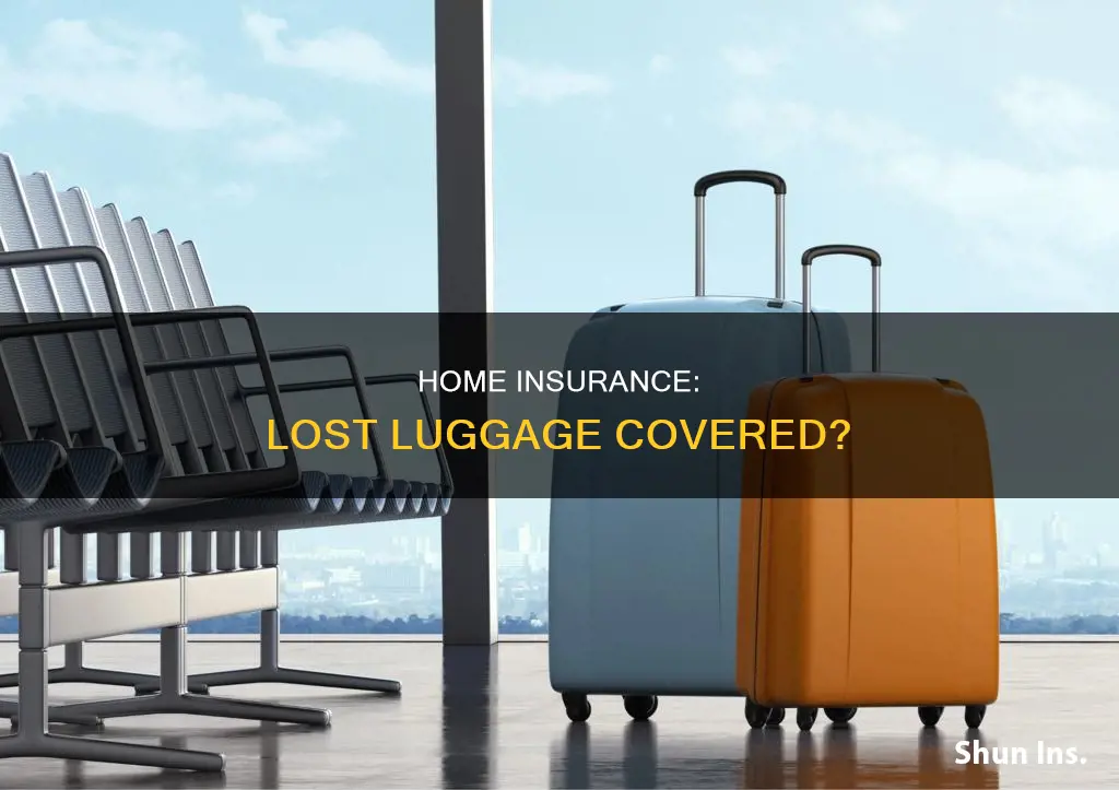 does homeowners insurance cover lost luggage