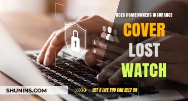 Home Insurance: Lost Watch Coverage?