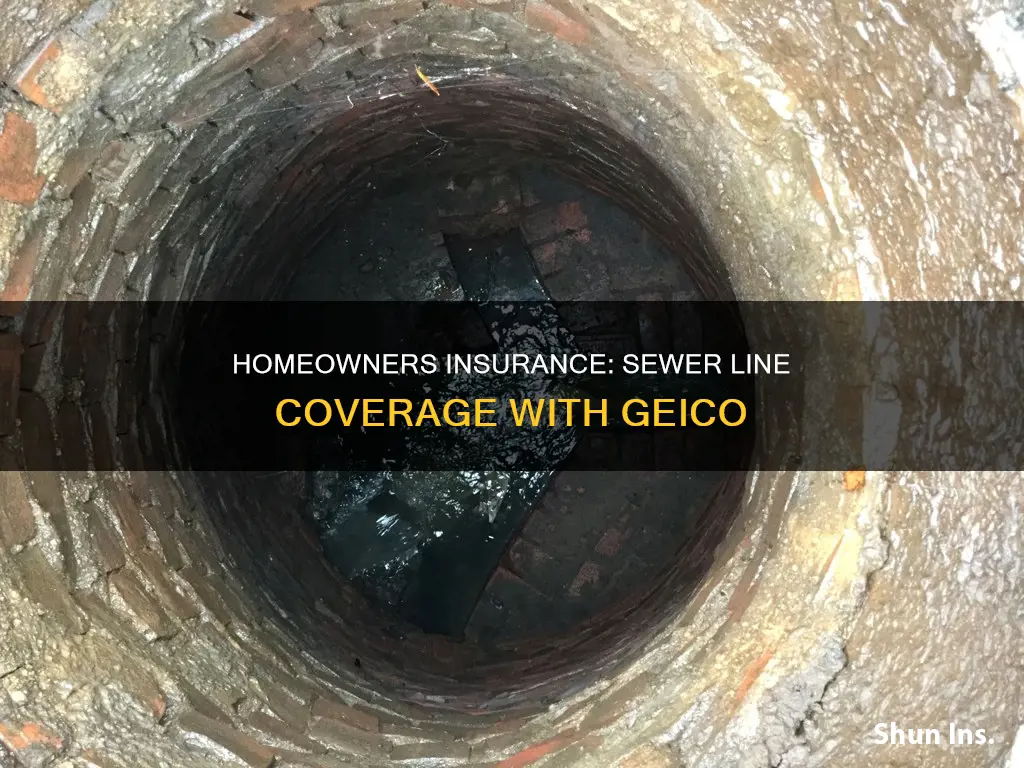 does homeowners insurance cover main sewer line geico