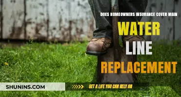Homeowners Insurance: Water Line Replacement Covered?