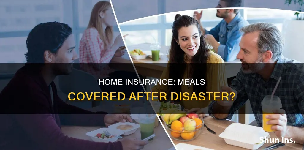 does homeowners insurance cover meals