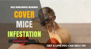Home Insurance: Mice Infestation Coverage?