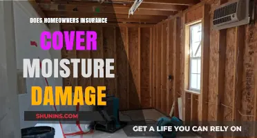 Home Insurance: Moisture Damage Covered or Not?