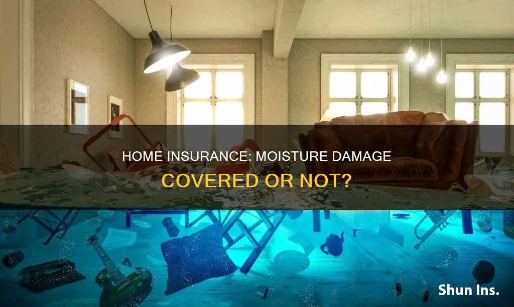 does homeowners insurance cover moisture damage