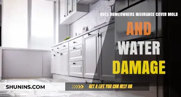 Home Insurance: Mold and Water Damage Covered?
