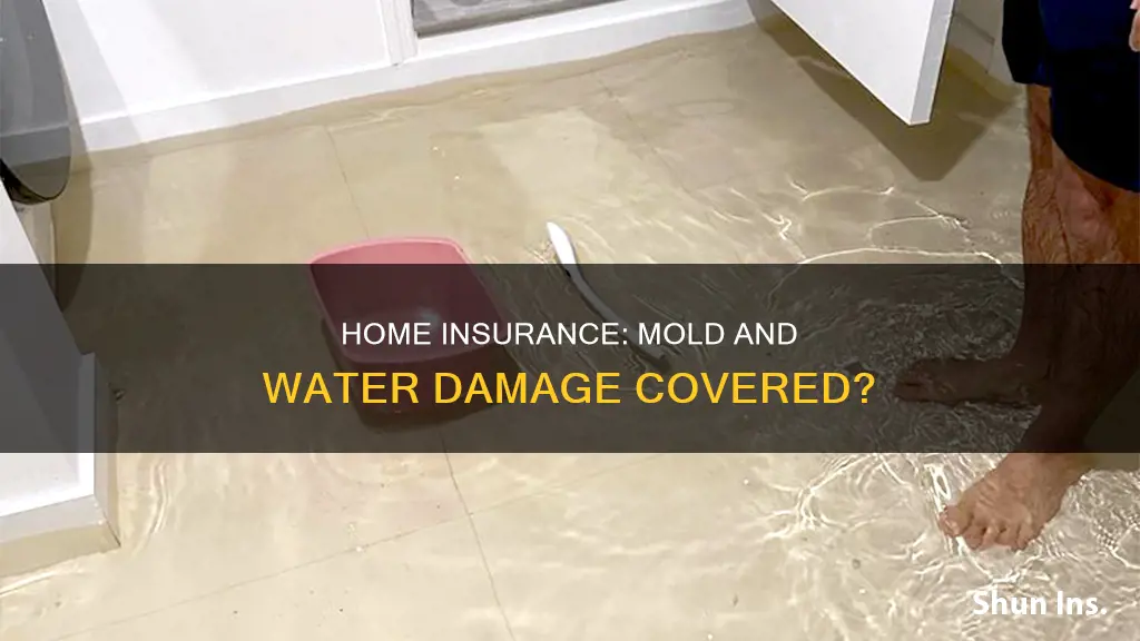 does homeowners insurance cover mold and water damage