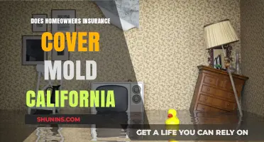 Mold and Home Insurance: What's Covered in California?