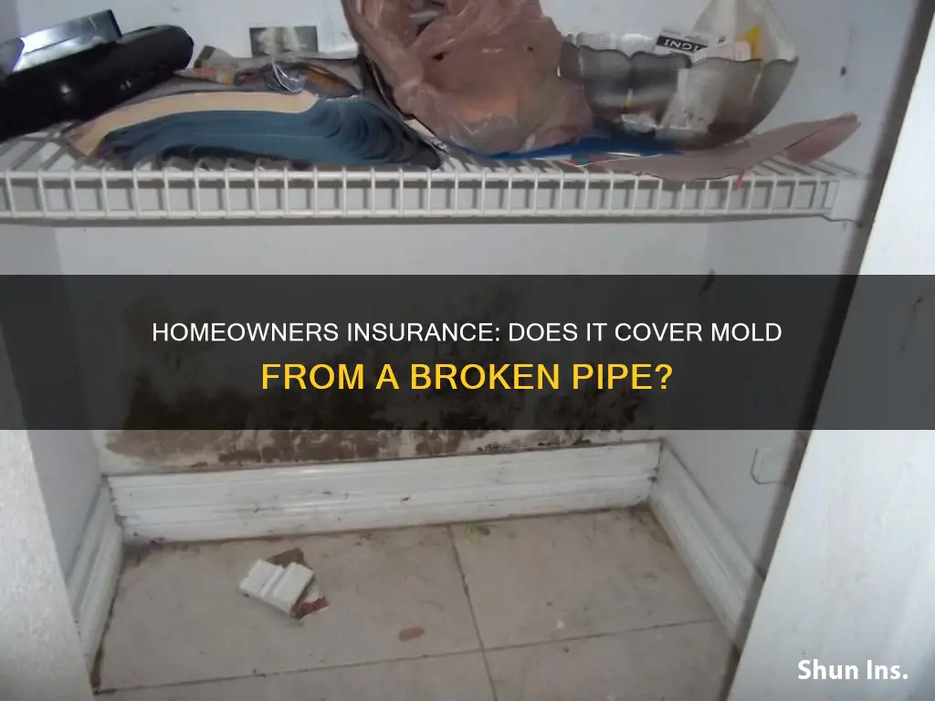 does homeowners insurance cover mold damage from broken pipe