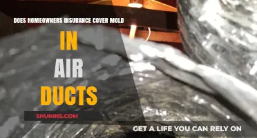 Homeowners Insurance: Does It Cover Mold in Air Ducts?