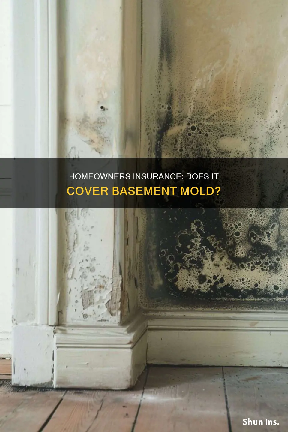 does homeowners insurance cover mold in basement