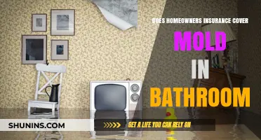 Home Insurance: Mold in Bathroom Covered?