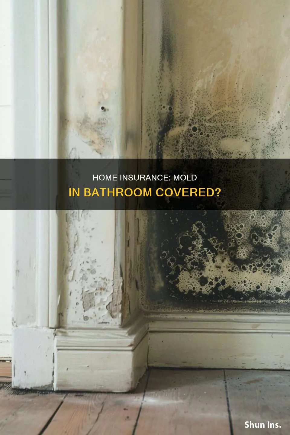 does homeowners insurance cover mold in bathroom