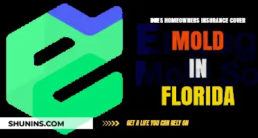 Florida Homeowners: Is Mold Covered by Insurance?