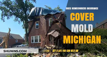 Mold and Home Insurance: What's Covered in Michigan?