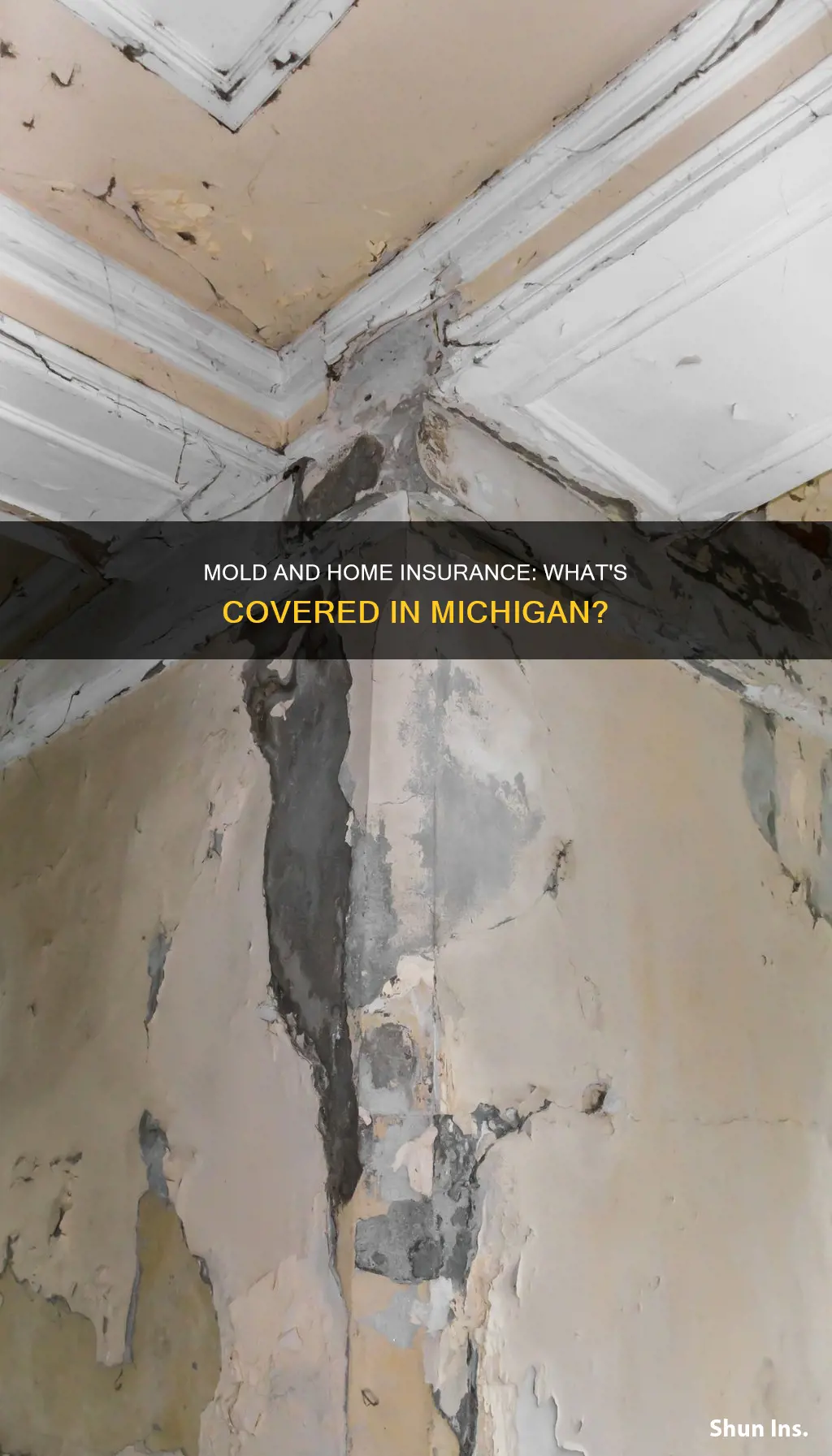 does homeowners insurance cover mold michigan