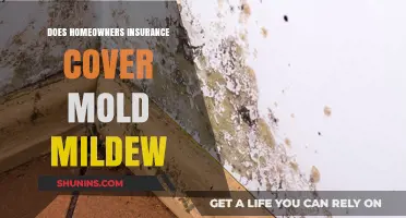 Home Insurance: Mold and Mildew Covered?