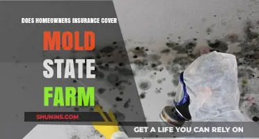 Homeowners Insurance: State Farm's Mold Coverage Explained
