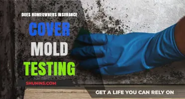 Homeowners Insurance: Does It Cover Mold Testing?