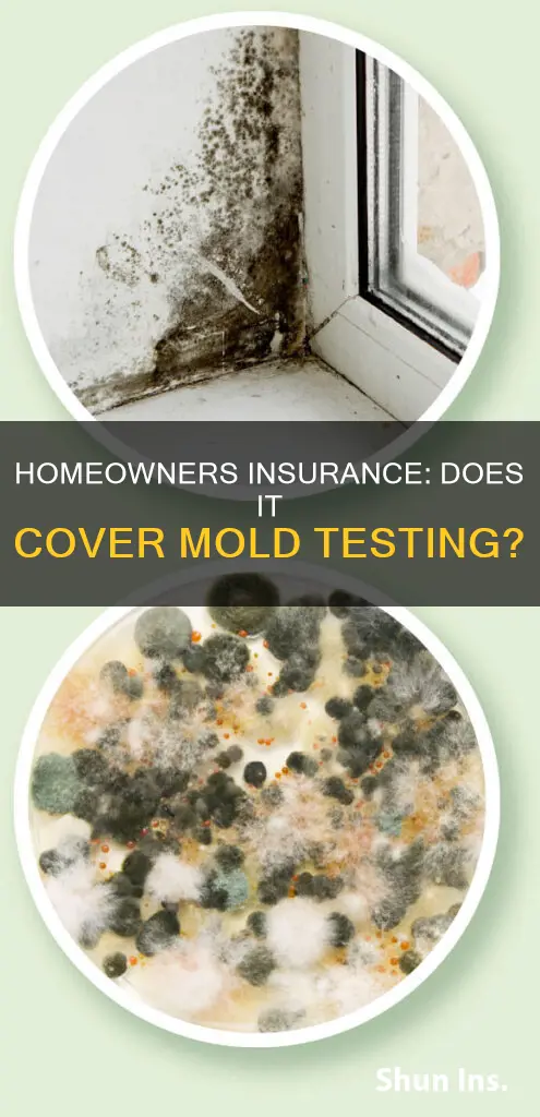 does homeowners insurance cover mold testing