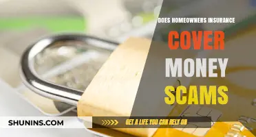 Home Insurance: Are You Covered for Money Scams?