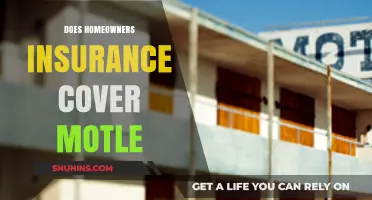 Homeowners Insurance: Motel Coverage for Displaced Families