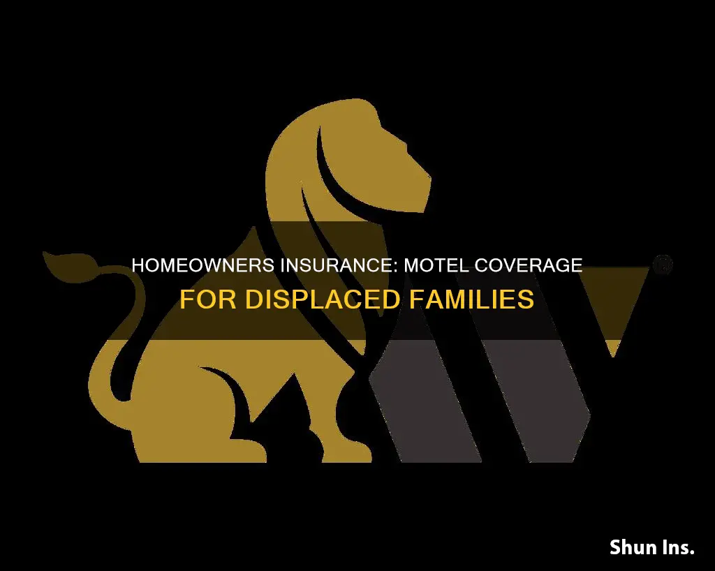 does homeowners insurance cover motle