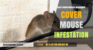 Home Insurance: Mouse Infestation Coverage?