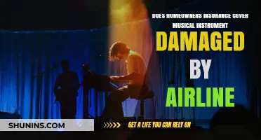 Home Insurance: Coverage for Airline-Damaged Musical Instruments