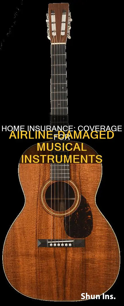 does homeowners insurance cover musical instrument damaged by airline