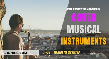 Home Insurance: Protecting Your Musical Instruments