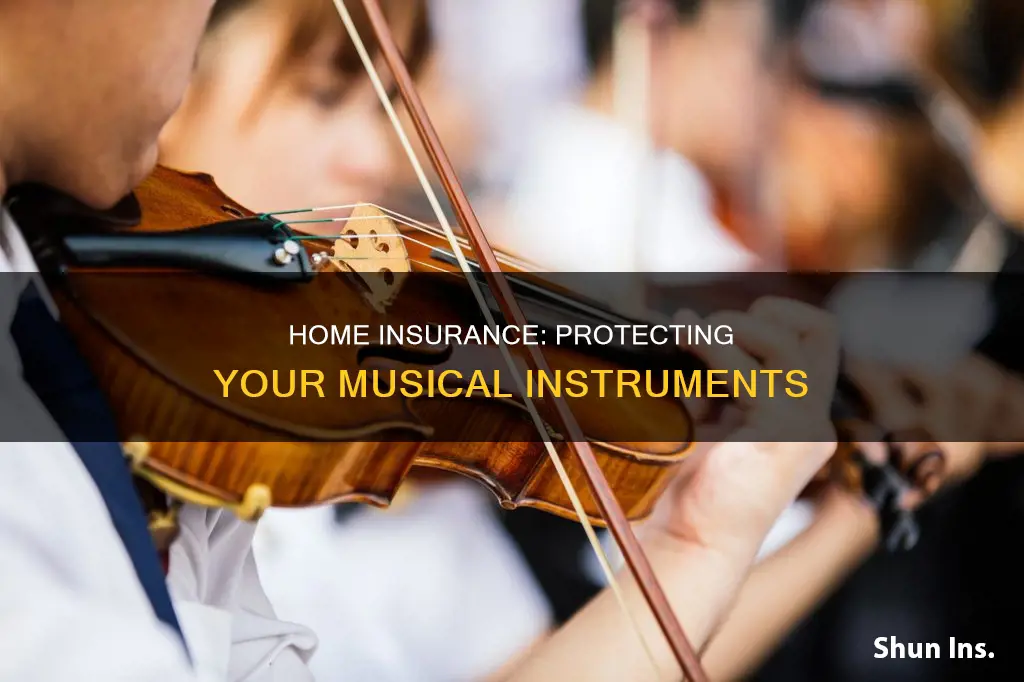 does homeowners insurance cover musical instruments
