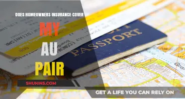 Au Pairs and Home Insurance: Am I Covered?