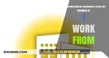Home Business: Am I Covered by Homeowners Insurance?