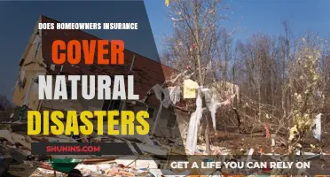 Home Insurance: Natural Disasters Covered?