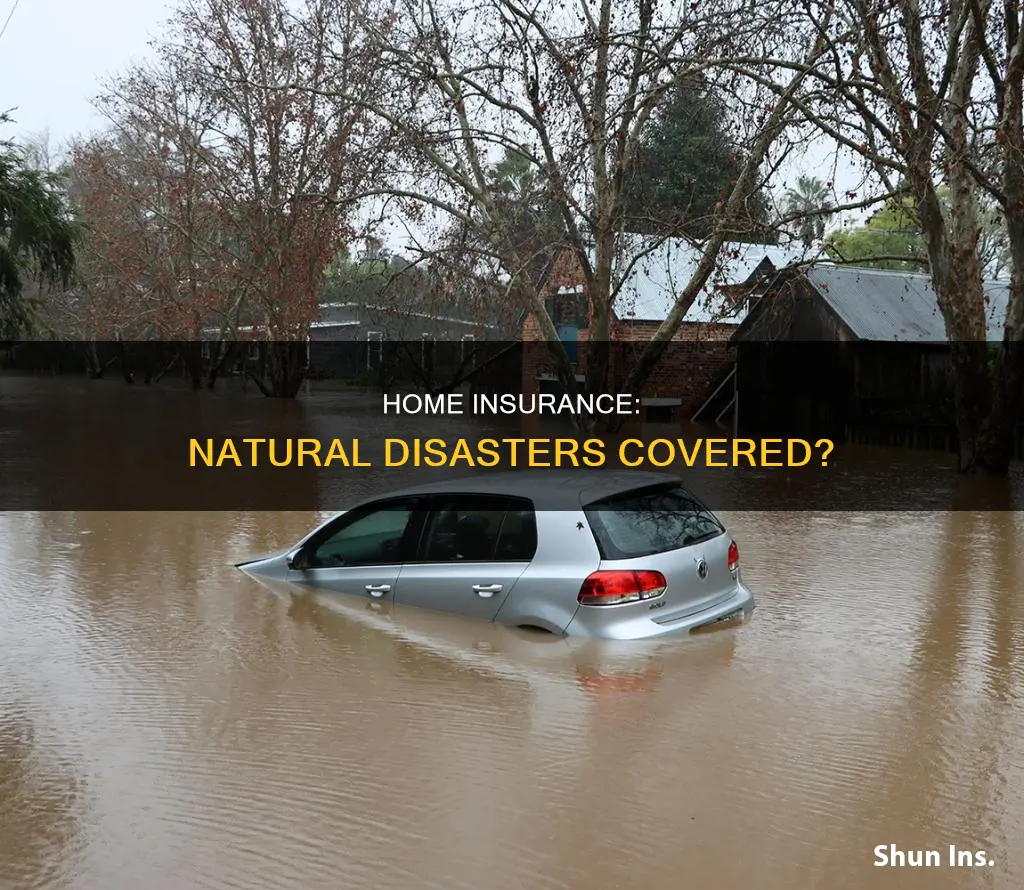 does homeowners insurance cover natural disasters