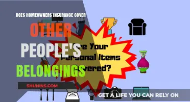 Home Insurance: Covering Others' Belongings?