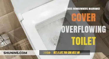Homeowners Insurance: Overflowing Toilet Coverage Explained