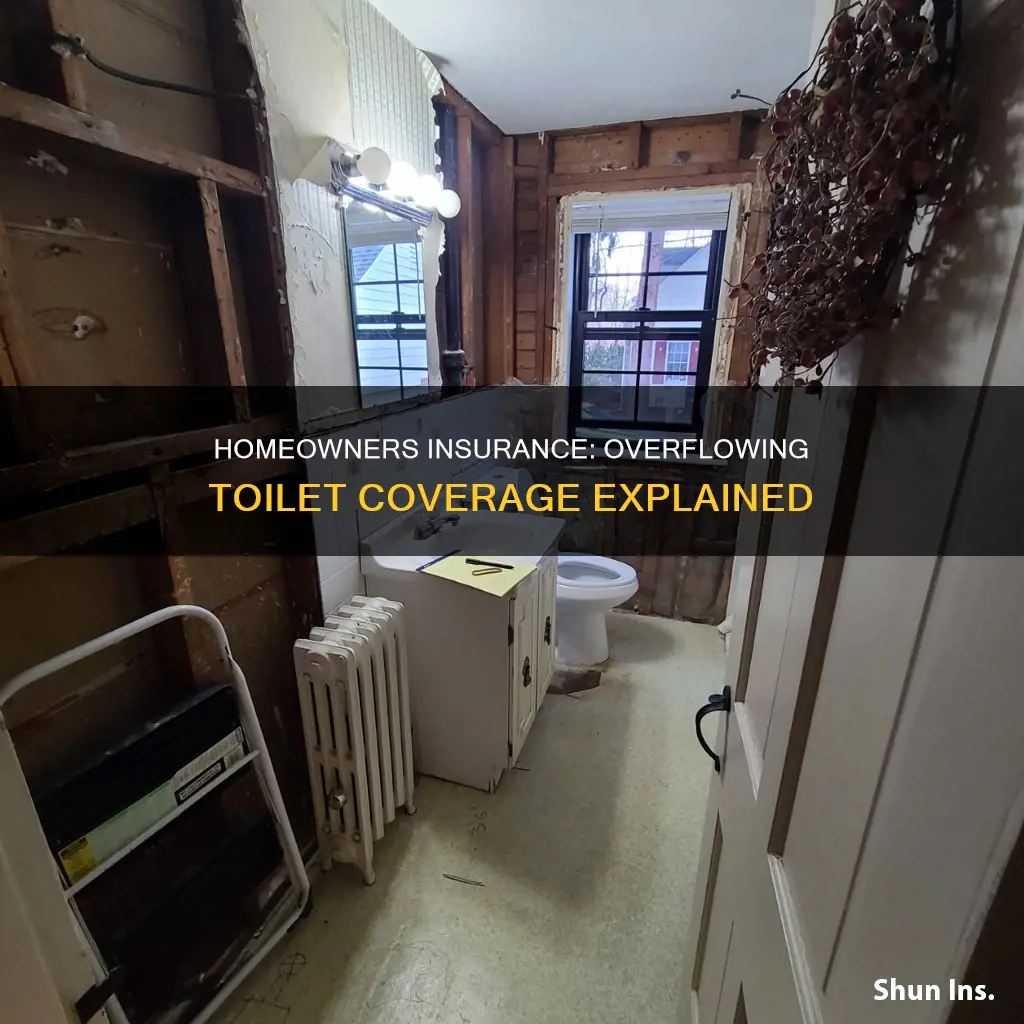 does homeowners insurance cover overflowing toilet