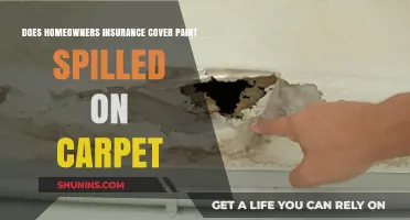 Home Insurance: What's Covered for Paint Spills on Carpet?